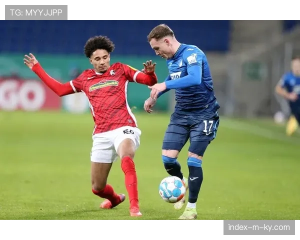 霍芬海姆61%控球胜弗赖堡 图雷阿斯拉尼前场配合效率分析 霍芬海姆61%控球胜弗赖堡 图雷阿斯拉尼前场配合效率分析